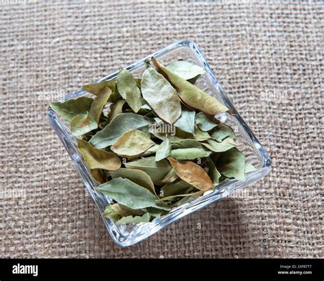 Dried Bay Leaves in a glass dish Stock Photo - Alamy