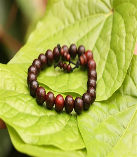 Buy Valampuri Sangu / Shell - Original online