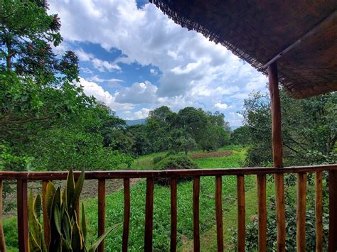 ECO-OMO LODGE (Jinka) - Lodge Reviews & Photos - Tripadvisor