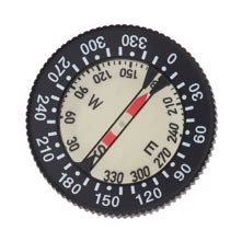 Image result for Blue Compass Module