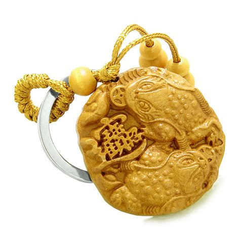 BestAmulets Amulet Double Lucky Todd and Fortune Coins Good Luck Powers ...