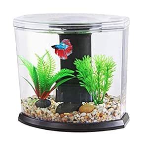 AQUALYF Pets Boyu DY Series Desktop Aquarium (DY-01) : Amazon.in: Pet ...