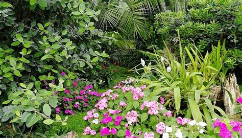 CASTLE GREENHOUSE - All You Need to Know BEFORE You Go 2026 (with ...