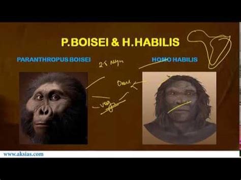 Image result for Class Body Java