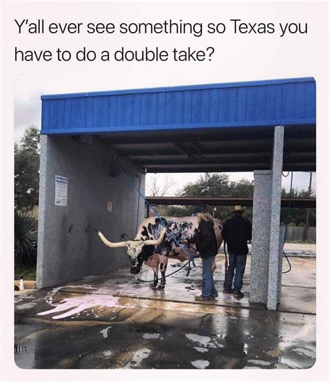 Texas memes – Artofit