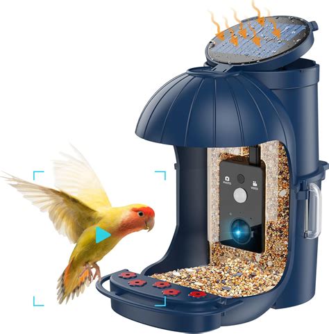 Amazon.com : Cozion Smart Bird Feeder Camera with Solar Panel, Latest ...