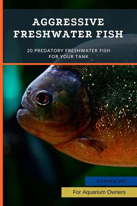Aggressive Freshwater Fish: 20 Predatory Freshwater Fish For Your Tank ...