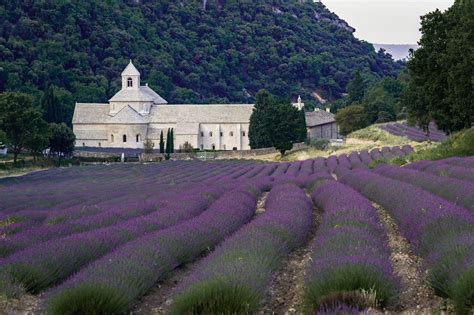 10 Best Places to Visit in Provence - What is Provence Most Famous For? – Go Guides