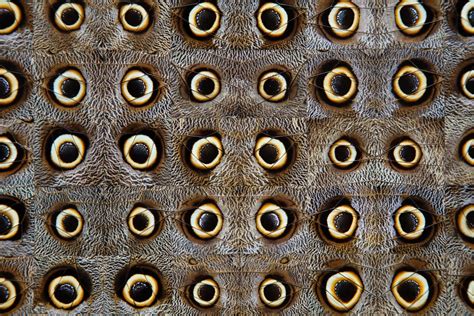 GABRIEL DE LA MORA: LA PETITE MORT - Museo Jumex