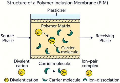 Recent Developments in Polymer Inclusion Membranes: Advances in ...