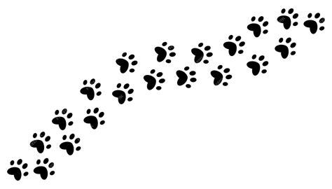 Premium Vector | The trail of a pets paw prints silhouette of a kittens ...