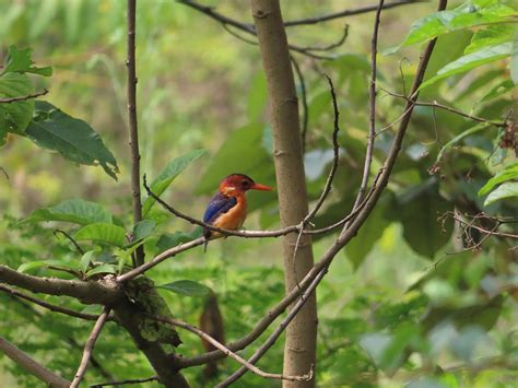 Birding and Educational Tours Rwanda (Kigali) - All You Need to Know ...