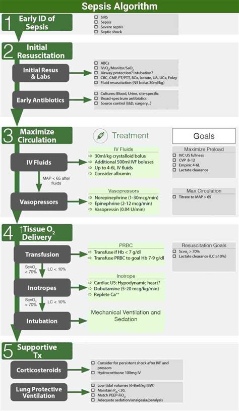 Severe Sepsis Algorithm Sepsis Guidelines “. BUFALO “ Mnemonic #dr