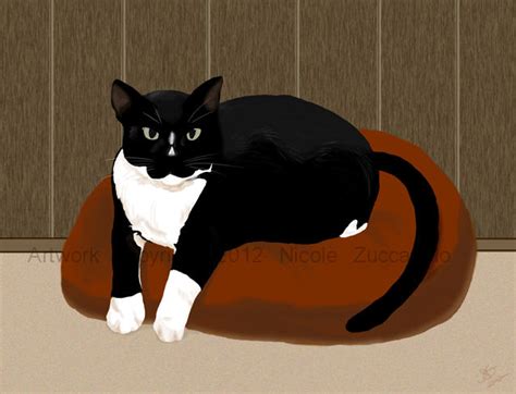 Image result for Grumpy Cat Origin