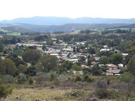 THE 5 BEST Places to Visit in Batlow (2026) - Must-See Attractions