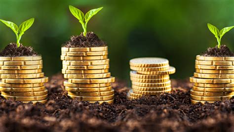 Agriculture in Africa 的图像结果