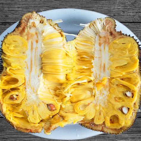 Jack fruit Live Plants – veliyathgardens