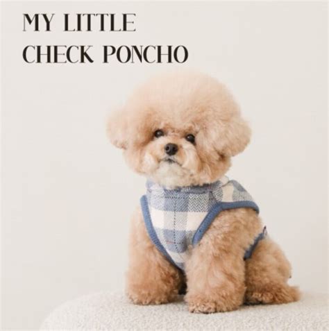 2XL/即納【SSFW】My Little Check Poncho《Blue》 | haneulpet