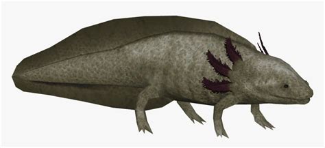 Image result for 2 Player Axolotl Tycoon Script