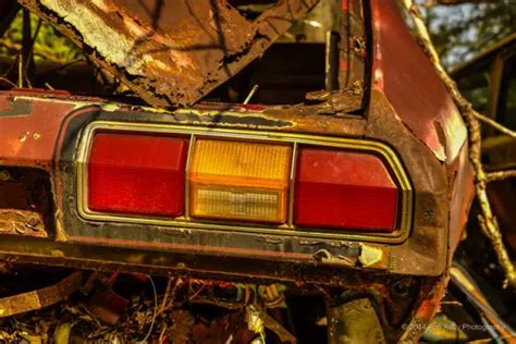 BCM Body Control Module Repair Near Me 的图像结果