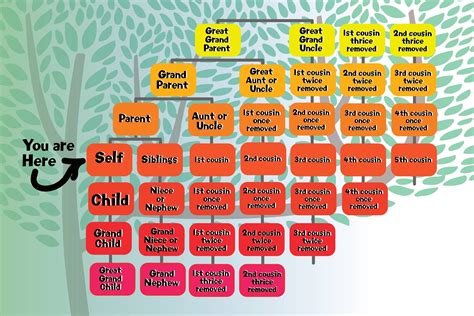 1st Cousin Once Removed Chart