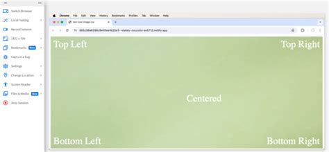 Image result for Paragraph Over Image CSS