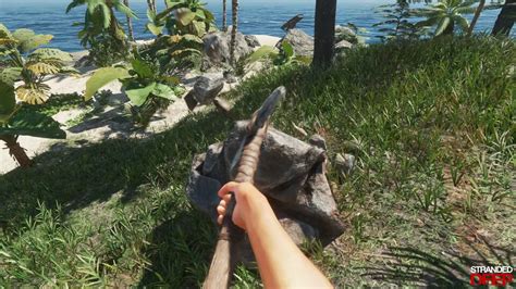 Image result for Stranded Deep PC