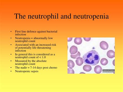 Abs Neutrophils High Symptoms at Robert Hatch blog