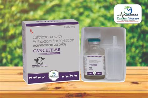 Ceftriaxone with Sulbactam veterinary injection Cansun Medcare (A Divi