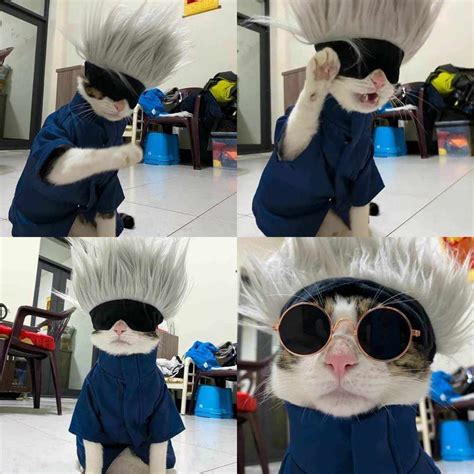 Jujutsu no catsen