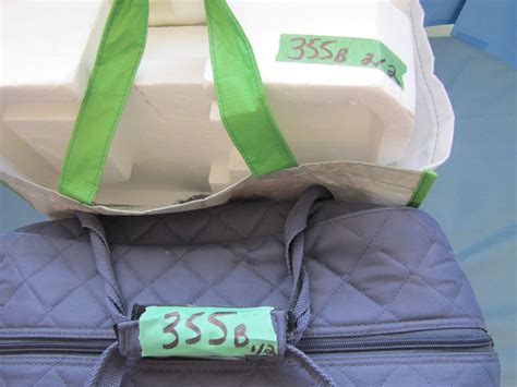 Image result for Singer 1000 Sewing Machine