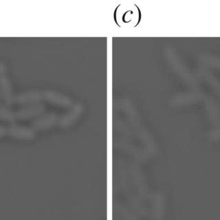 Image result for Gaussian Filter Convolution