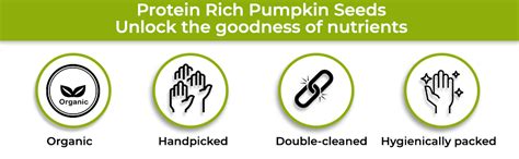 RR AGRO FOODS Pumpkin Seeds Kg Rich In Protein And Fiber Superfood ...