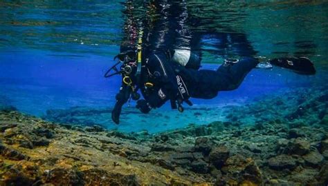 7 Striking Spots For Scuba Diving In Austin On Your US Trip