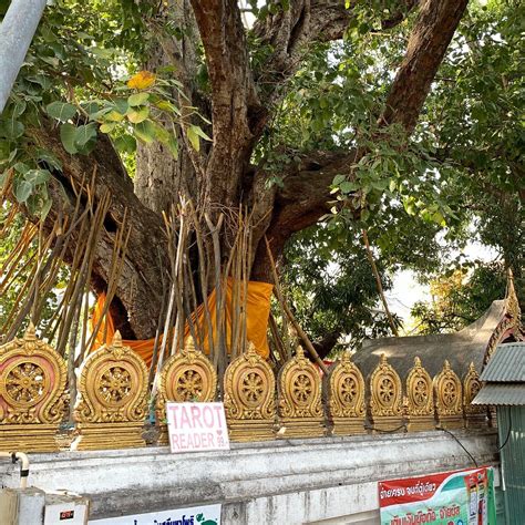 WAT SI KOET TEMPLE - All You Need to Know BEFORE You Go 2026 (with ...
