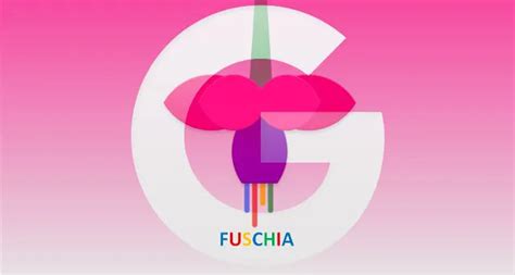 Image result for Google Fuchsia Operating System