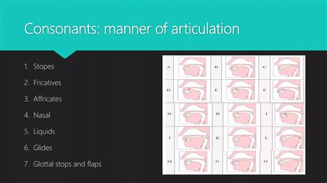 introduction to Linguistics" phonetics; manners of articulation and ...
