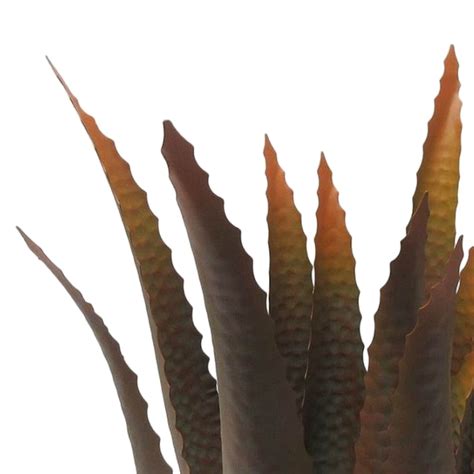 Copper Metal Aloe Plant Outdoor Garden Statue, 19" | At Home