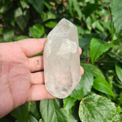 Clear Quartz Raw – Healing Aura Crystals