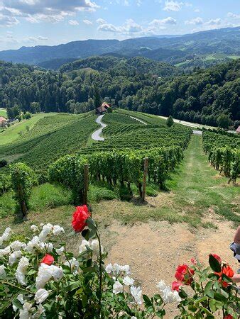 Big Guy's Wine Tour (Maribor) - All You Need to Know BEFORE You Go