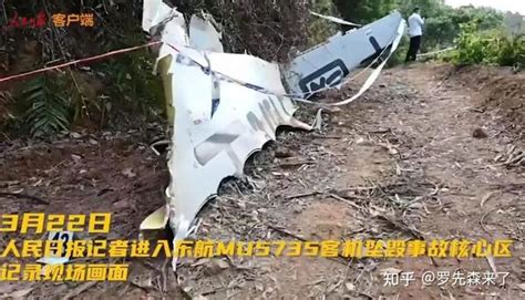 东航MU5735客机坠毁第一视角影像流出？假的_手机新浪网