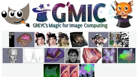 Face Swap Using GIMP 的图像结果