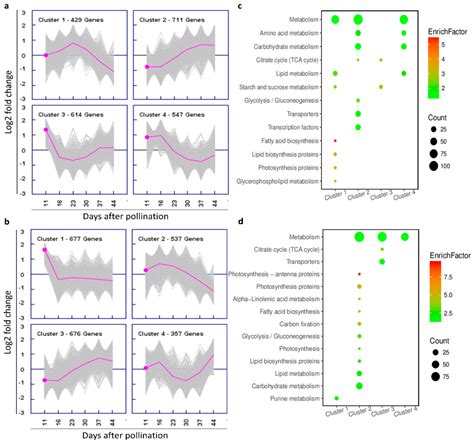 Comparative Transcriptome Analysis of Developing Seeds and Silique Wall ...