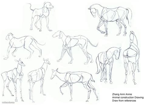 How To Draw Animals 10
