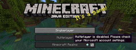 Image result for Minecraft Multiplayer Option Not Showing