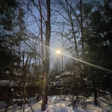 January Full Wolf Moon | Meaning, Spiritual Significance & Nature Practices