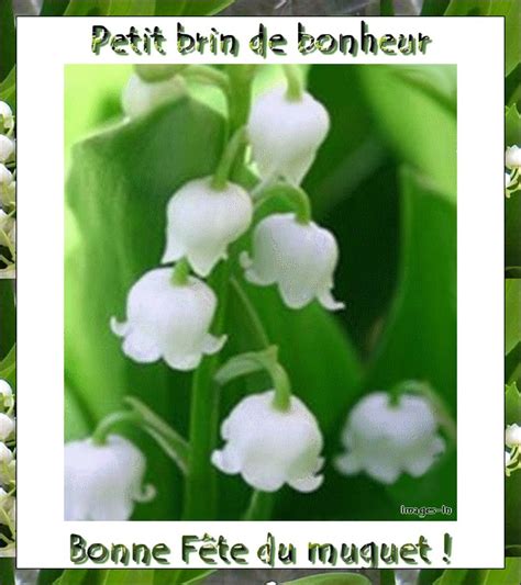 Voir les d�tails de l�image associ�e. Bonne F�te du Muguet