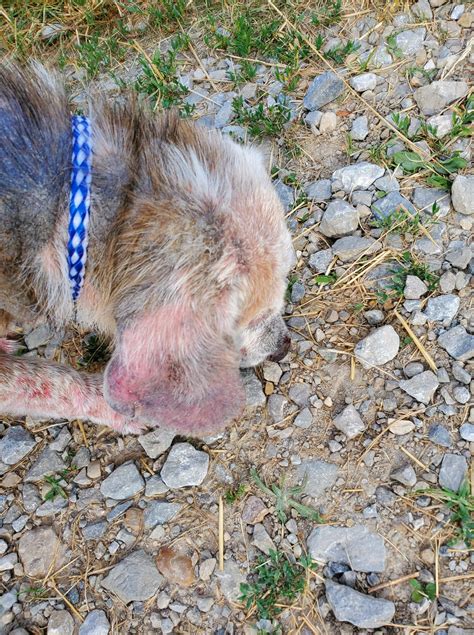 HIS HANDS EXTENDED SANCTUARY - Saint Paris OH - Hours, Directions ...