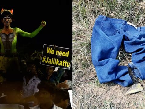 Ordinance On Jallikattu, Court Observation On Murthal Rape And Other ...