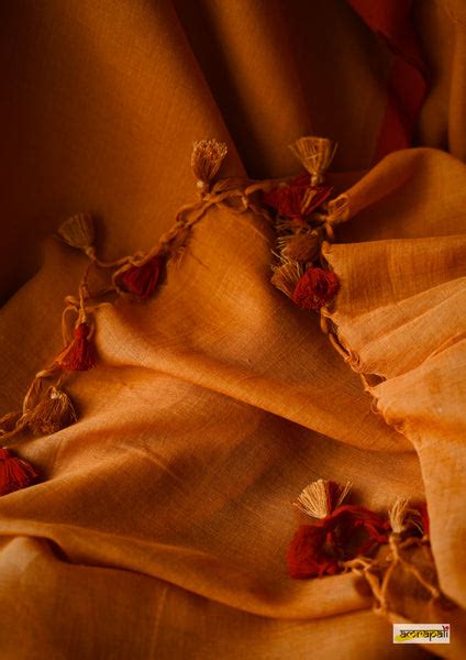 Pumpkin Pie – Amrapali Boutique